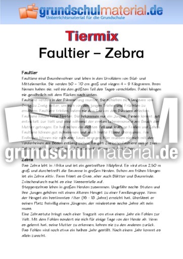 Faultier - Zebra.pdf